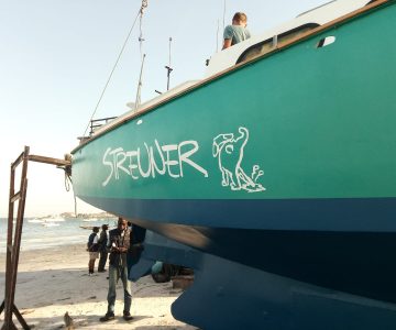 Des Streuners neue Kleider