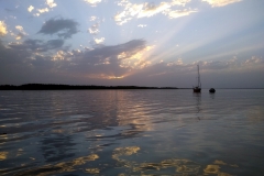 Die "aracanga" auf dem Gambia River