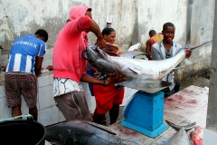Auf dem Fischmarkt von Tarrafal