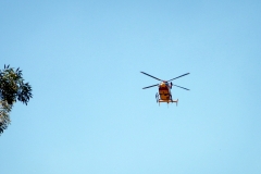 DSCN0957