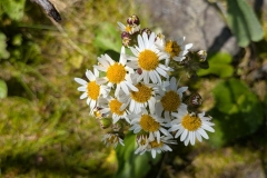 PXL_20251128_200525403