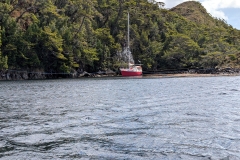 PXL_20260124_183034930.MP_