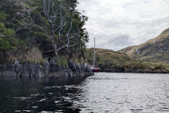 PXL_20260124_193947885