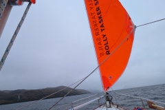 PXL_20260130_175039251