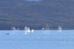 PXL_20260405_135323861