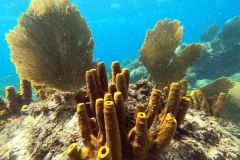 DCIM100GOPROGOPR2214.JPG