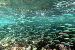 DCIM100GOPROGOPR2222.JPG
