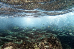 DCIM100GOPROGOPR2227.JPG
