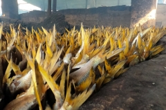 DCIM100GOPROGOPR0286.JPG