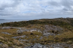 PXL_20260113_201348089.PANO_