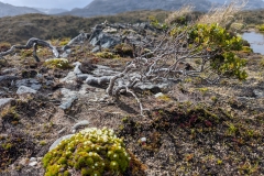 PXL_20260113_204833937