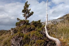 PXL_20260113_205236255.MP_