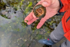 PXL_20260115_171337987.MP_