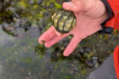 PXL_20260115_171348574.MP_