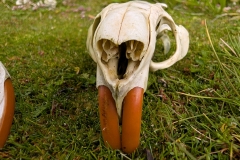 PXL_20260115_174530049