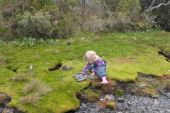 PXL_20260117_204157175.MP_