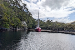 PXL_20260124_182939295.MP_