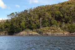 PXL_20260124_183135222