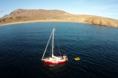 Wie passend, die aracanga in der Papagayo-Bucht