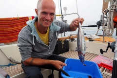 Frisch gefangener Bonito - lecker!