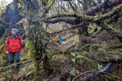 PXL_20251204_162439921.MP_