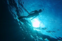 EXIF_HDL_ID_1