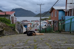 PXL_20251014_194753151