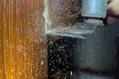 PXL_20251015_142940543.PORTRAIT.ORIGINAL