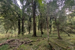 PXL_20251018_212757704.MP_