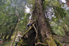 PXL_20251018_212812100