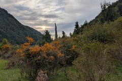 PXL_20251018_220759284