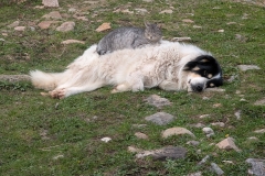 PXL_20251018_224730501