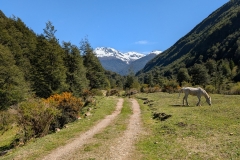 PXL_20251019_152916129