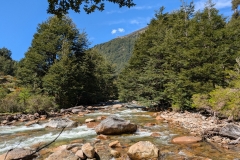 PXL_20251019_164447749