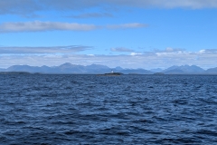 PXL_20251106_144516024.MP_