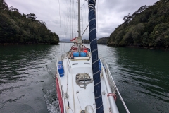 PXL_20251107_151852200.MP_