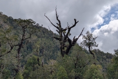 PXL_20251107_182238443