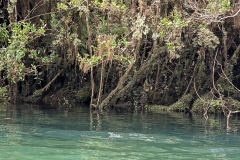 PXL_20251107_182347512