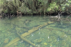 PXL_20251107_182538703