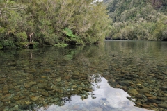 PXL_20251107_182621509