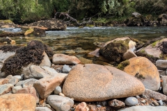 PXL_20251107_185232865.MP_