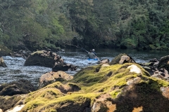 PXL_20251107_195252463