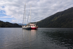 PXL_20251107_204640019