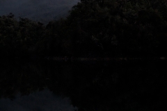 PXL_20251108_002822579