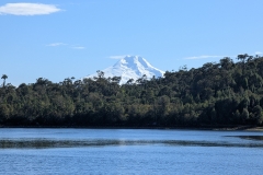 PXL_20251108_131208708