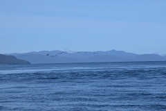 PXL_20251108_131742920