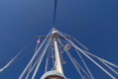 PXL_20251108_132343848.PORTRAIT