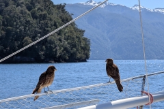 PXL_20251108_140838026