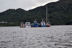 PXL_20251115_222620144