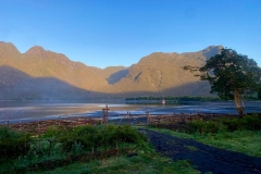 IMG-20250318-WA0000